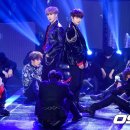 뉴서울디스코 이미지