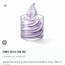 퍼플피자 | 폴바셋 라벤더 아이스크림 기간한정 제품 라벤더 퍼플 내돈내먹 후기 (폴바셋 대전 엑스포 스카이점)