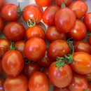 다름 과일 이미지