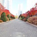 골드푸르지오공인중개사사무소 이미지