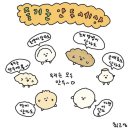 생활의달인장호덕손만두 이미지