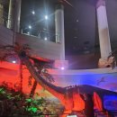 해남슈퍼 | 11월 전라도4박5일여행/2일차는 해남.완도