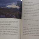 왕산골숲속 이미지