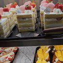 Cafe Forest (카페 포레스트) 이미지