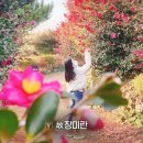 궁금한 이야기 y에서 제주도 장미란 씨 사건 정리함. 이미지