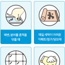 펫패밀리