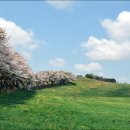 동화목장 이미지