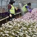 백양산 양묘장 이미지