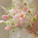 상안초등학교 이미지