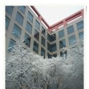 용구대로 이미지