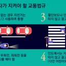 라니 이미지