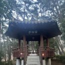 자산솔밭공원 네이버블로그