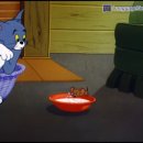 꼬마강아지 이미지