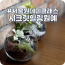 [2월 재능나눔] 집 공기를 촉촉하게 해주는 이끼테라리움 만들기(오후) | 강남구 시크릿힐링원예 미니정원 만들기(테라리움) 서울원데이클래스 추천