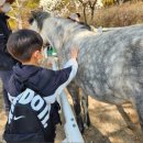 복용승마장 이미지