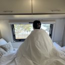 스마일카크리닉 | 6월일기 :)