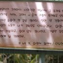 20260717#곱게 늙은 절집 화암사[우화루] 이미지