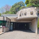 야탑로245번길 이미지