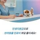 포근한동물병원 | 민생지원금 동물병원 쓸 수 있나요 지원금 신청과 확인 팁