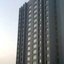 현대종합신발
