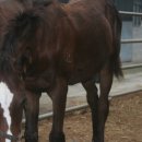 송암축산 이미지