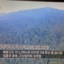 지구촌보물창고시리즈(360)/♥대만의 우롱차 이미지