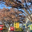 신중앙시장 주차장 앞 이미지