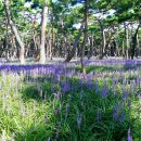 황성농장 이미지