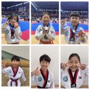 용인대아이러브태권도장 이미지