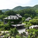 초원의 언덕 이미지