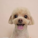 나봄스파 이미지