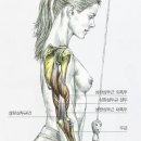 존피트니스 이미지