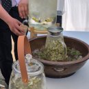 북서울꿈의숲 | 북서울 꿈의숲 웨딩 하객 후기 창녕위궁재사 야외 결혼식