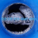 성남대로1390번길 이미지