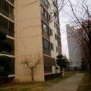 영등동-04 이미지