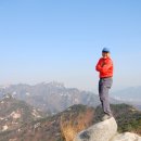 사일구짐 이미지