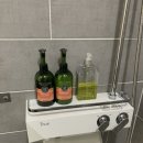 하일리 제주 이미지