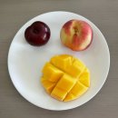 금강산주유소 | 38화. 타운즈빌에서 별똥별도 보고 두쫀쿠도 먹고 친구덜 BIRTHDAY PARTY 가는 1상