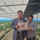 삼도농장 이미지