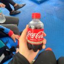 암스테르담 | 보홀 발리카삭 호핑투어 암스테르담호핑 내돈내산 후기