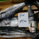 남도아구 이미지