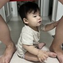 여주-0619 이미지