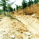 진도망금산관방성 이미지