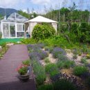 카페다올 이미지