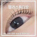 매월1로L | 문정속눈썹 젤라스튜디오 노글루 영양 클리닉펌 후기 L컬로 바짝 올리고 블랙틴팅까지