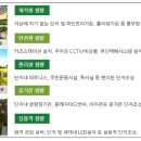 봉담중교 이미지