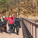 반월호수길 이미지