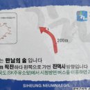 늠내길 1코스 숲길 이미지