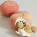 파티세리 후르츠(Patisserie Fruits) | 디저트 맛집] 눈과 입이 모두 즐거운 압구정 로데오의 작은 도원: 파티세리 후르츠 (Patisserie Fruits)