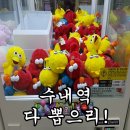 다뽑으리 이미지